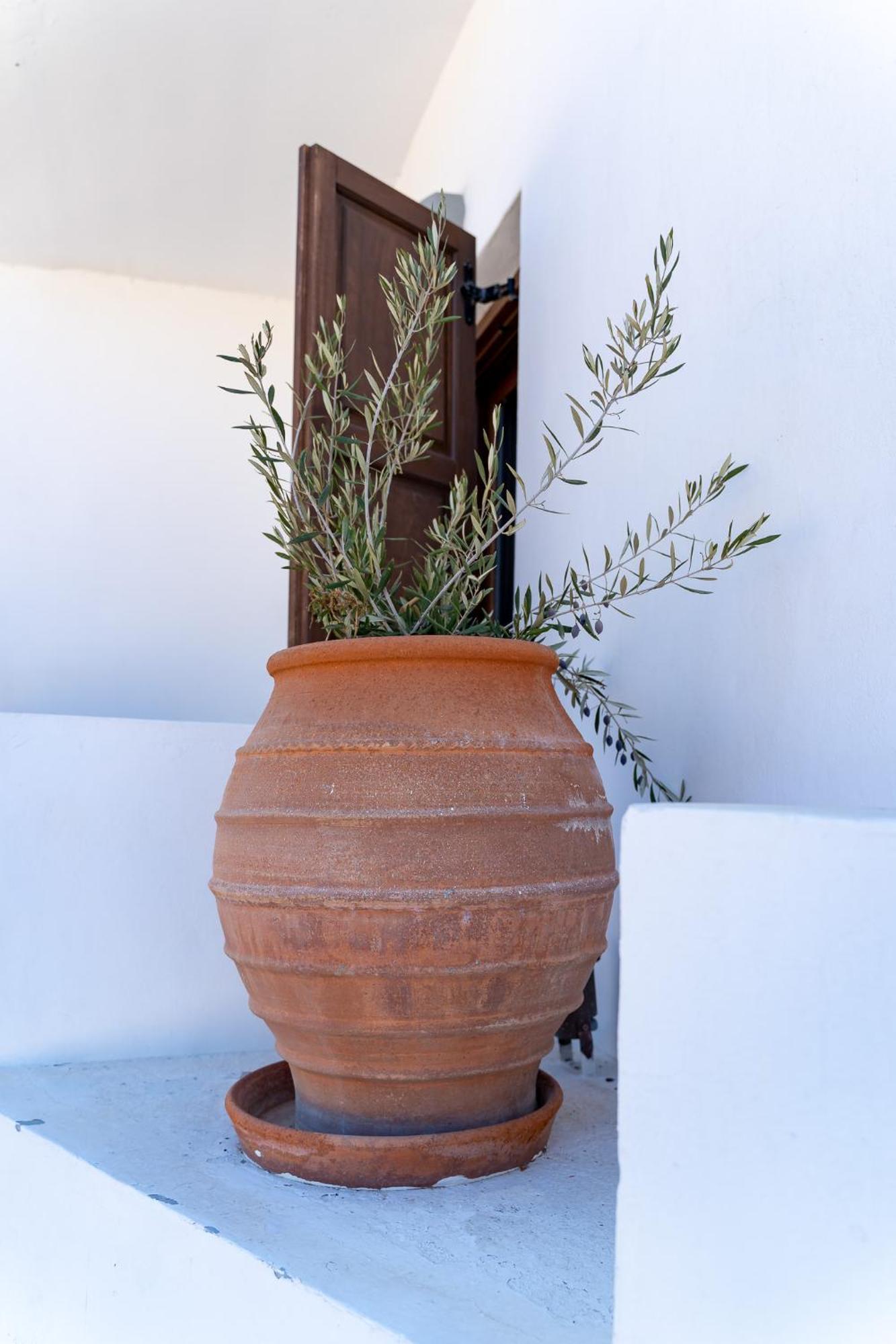 Theoxenia Kasos Luxury Apartments Panagia  Bagian luar foto